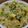 こうのとりヒロシ's cooksnap of when they made 簡単！姜葱醤炒飯.