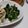 fu♪♪'s cooksnap of when they made 青菜のさっぱり中国風和え.