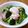 やなぎだまこ's cooksnap of when they made アスパラとブロッコリーの温卵チーズサラダ.