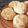 pajamamin's cooksnap of when they made きのこのサンドイッチ.
