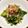 クックUWSOD7☆'s cooksnap of when they made 5分で完成！菜の花の塩麹ナムル.