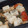 クックFW8PL3☆'s cooksnap of when they made おもちとエビのアヒージョ.