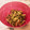 ナピト's cooksnap of when they made *サバ缶とゴーヤの和え物*.