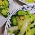 往きつ戻りつ's cooksnap of when they made 基本その１「白菜の切り漬け」.