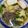 ピーナッツ子♪'s cooksnap of when they made かけそば.