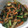 さおりん@料理特訓中's cooksnap of when they made 茄子とセロリとツナの和え物.
