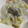 クック39UDC8☆'s cooksnap of when they made 牡蠣と白菜のクリーム煮.