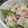 シロツメクサmnm's cooksnap of when they made 水菜とりんごの爽やかサラダ.