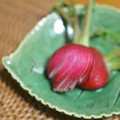 taruママ's cooksnap of when they made 食感をたのしむ胡瓜　.