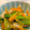はるみまき's cooksnap of when they made 小松菜とさつま揚げの和風サラダ♪簡単給食.