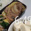 airi777's cooksnap of when they made レンジで簡単★３分で★豚のしょうが焼き.
