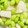 クックHB0OYQ☆'s cooksnap of when they made 簡単中華♪　いかと枝豆の炒め物.
