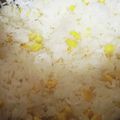 まゆは見習い★'s cooksnap of when they made 冷凍コーンで炊き込みご飯.