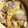 クックOBSDVC☆'s cooksnap of when they made セロリと油揚げとこんにゃくの炒め煮.