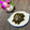 Laufen's cooksnap of when they made 出がらしの昆布を再活用！昆布の佃煮。.