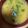Reo14☆'s cooksnap of when they made ほっこり♪具だくさん野菜のお味噌汁.