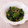 クックHG9V8Y☆'s cooksnap of when they made 旬のご馳走♪春菊の胡麻和え＊副菜.