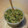 のべチャン's cooksnap of when they made 夏野菜たっぷり、山形のだし.