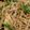 れそそ's cooksnap of when they made 和のヤキソバ　鳥なん風焼き蕎麦.