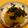 りいこりんご's cooksnap of when they made レンチン＊新玉ねぎまるごと和風グラタン.