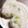 ひさぺー's cooksnap of when they made 枝豆と釜揚げしらすの混ぜご飯.