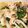 CahorineD's cooksnap of when they made サーモンとほうれん草のクリームうどん.