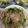 クックZTZ10H☆'s cooksnap of when they made 【副菜】小松菜のなめ茸和え.