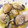 attchen's cooksnap of when they made 冷凍牡蠣のアヒージョソテー✿おつまみに.