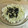 ラリー＆サラ's cooksnap of when they made 無限白菜！病みつき！白菜の中華風和え.