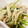 ♡♡みゆ♡♡'s cooksnap of when they made 豆苗とえのきのナムル.