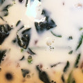 ゆとかりママ's cooksnap of when they made 簡単♪ほうれん草とベーコンの豆乳スープ.