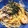 ドナルドよっしー's cooksnap of when they made エビときのこの和風パスタ.