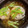 MizuhoBank's cooksnap of when they made レンジで。大根と長いもの蒸しまんじゅう.