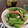 クックUW92JL☆'s cooksnap of when they made ヨウサマの減塩春菊の粒マスタード醤油和え.