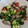 M130018's cooksnap of when they made 食卓がおしゃれに！牡蠣のアヒージョ.