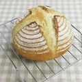 umemodoki's cooksnap of when they made 強力粉、薄力粉、全粒粉のカンパーニュ.