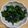 ポメちょん's cooksnap of when they made わかめと海苔のナムル.
