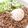 ＫＡＲさん's cooksnap of when they made 簡単(^ω^)そぼろ丼.