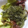 さっちゃん１号's cooksnap of when they made しなしな海ぶどうが瞬で復活、プロも驚くよ.