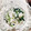 クックのぶNS☆'s cooksnap of when they made 白だしでターサイの白和え.