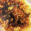 millajovo's cooksnap of when they made キャベツたっぷりのニラ入り餃子.