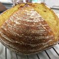 クックおやじDOA's cooksnap of when they made 華麗！俺のカンパーニュ.