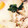 earth。's cooksnap of when they made 豚とたっぷり野菜の蒸し鍋♡.