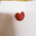 きりん1101's cooksnap of when they made 簡単♪きれい♪カリカリ梅・種の取り方.