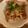 dollyj's cooksnap of when they made 我が家の簡単しょうが焼♪.