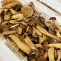 ハミィ's cooksnap of when they made しょうがきのこマリネ★ダイエットおかず.