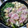 たけ2023's cooksnap of when they made 割り下で簡単！我が家の関西風すき焼き.