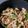 クックZTL54V☆'s cooksnap of when they made れんこん/マヨ/ニンニク/つまみ.