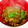 はちみつlove's cooksnap of when they made ☆お湯を注ぐだけ！とろろ昆布のすまし汁♪.