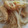 xyzクック's cooksnap of when they made 揚げともやし炒め.